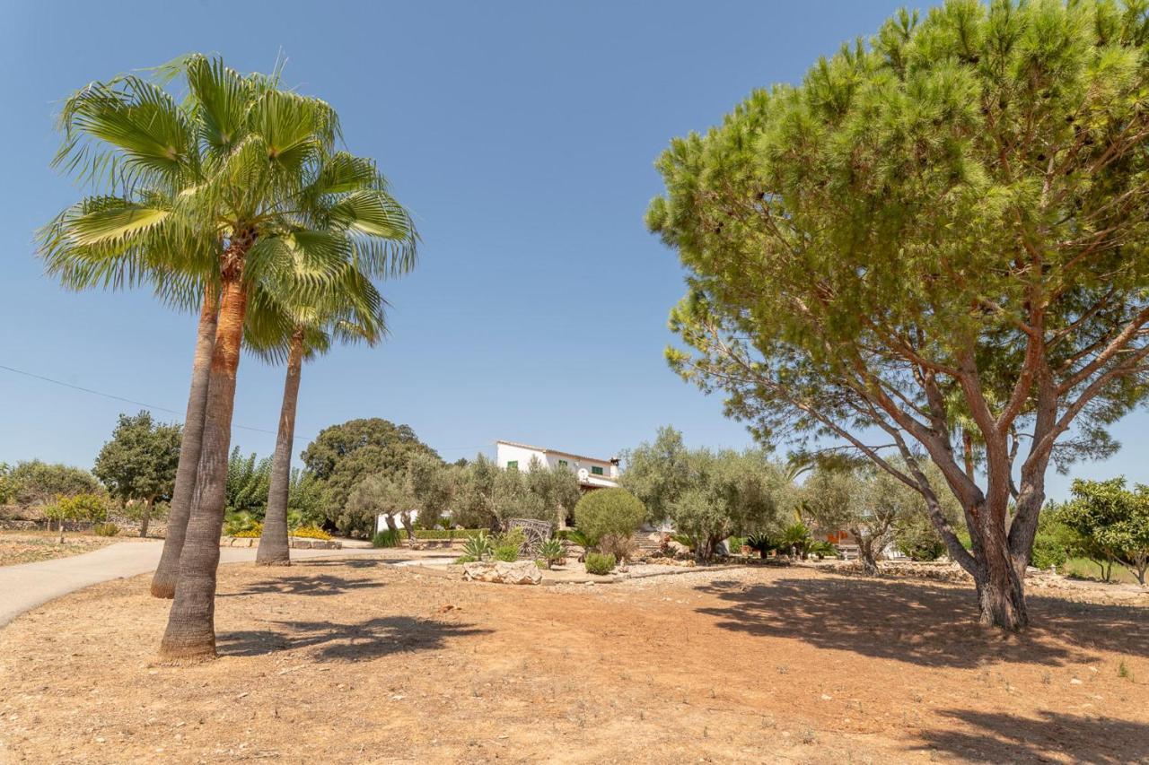 Sa Tanca Gran Villa Sineu  Eksteriør billede