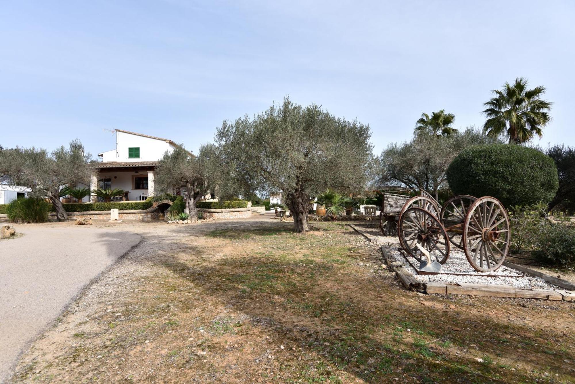 Sa Tanca Gran Villa Sineu  Eksteriør billede