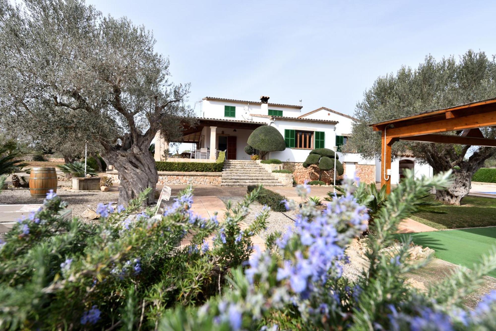 Sa Tanca Gran Villa Sineu  Eksteriør billede