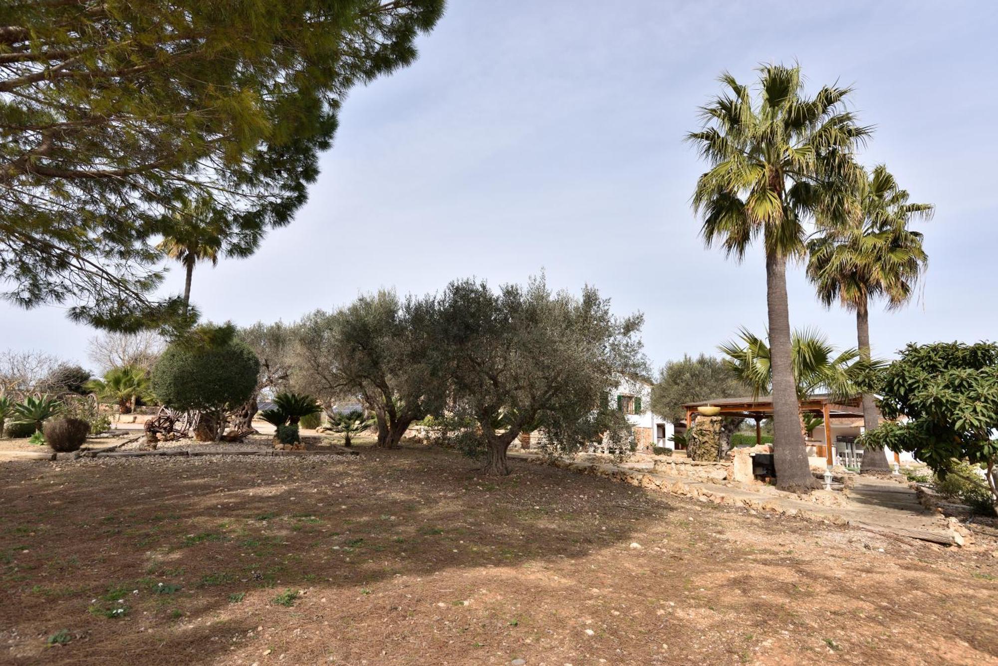 Sa Tanca Gran Villa Sineu  Eksteriør billede