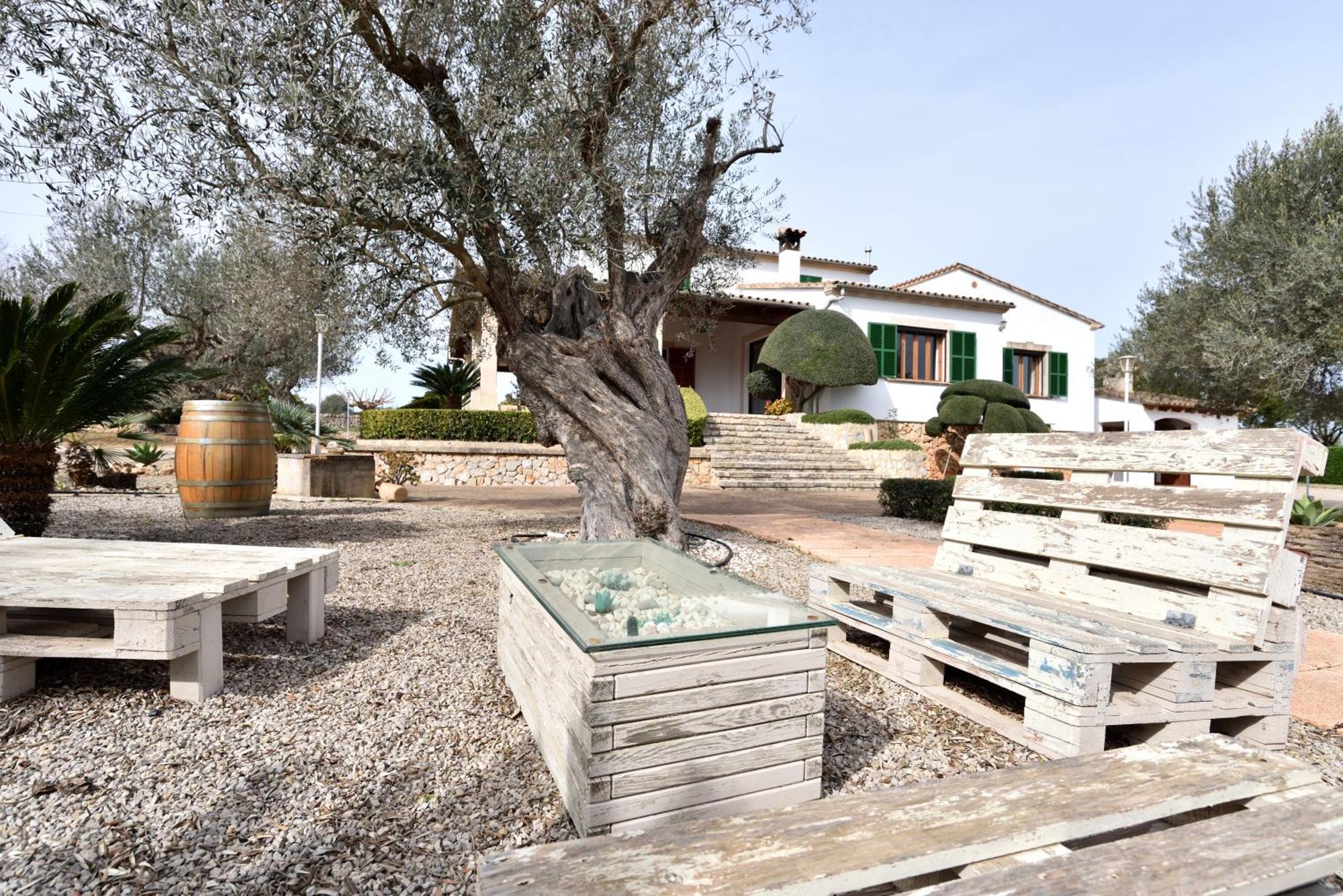 Sa Tanca Gran Villa Sineu  Eksteriør billede